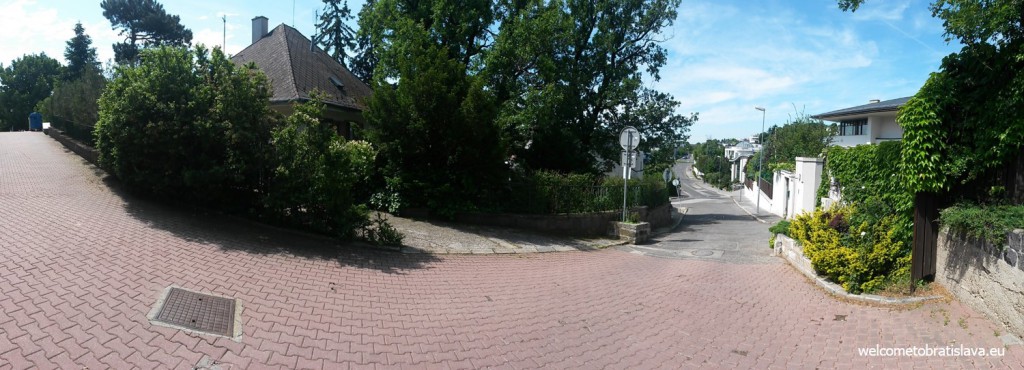 Walking towards Slavin