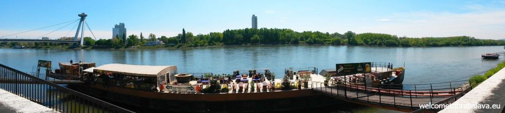Danube bank