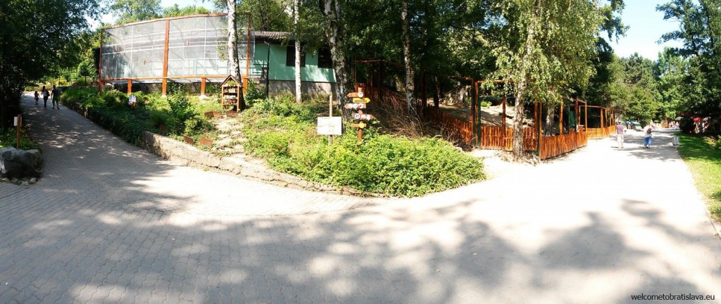 Paths in the ZOO