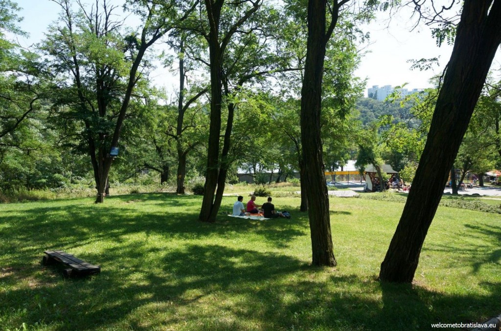 The ZOO is a great place for a summer picnic