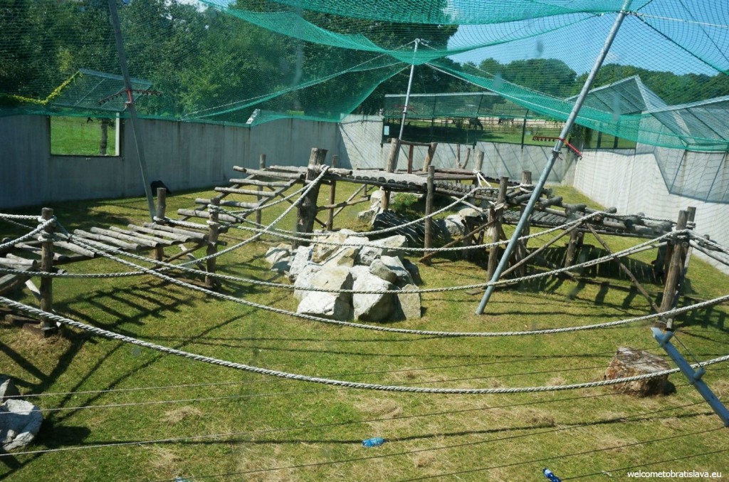You can see a playing area for monkeys from the pavilion's window