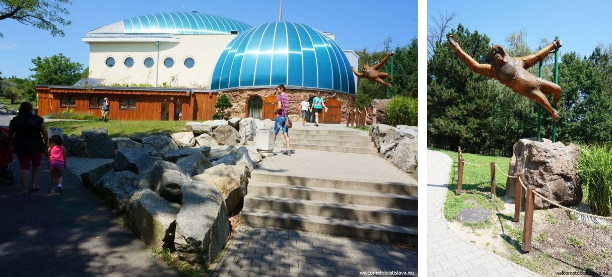 Outdoor places for kids in Bratislava - ZOO
