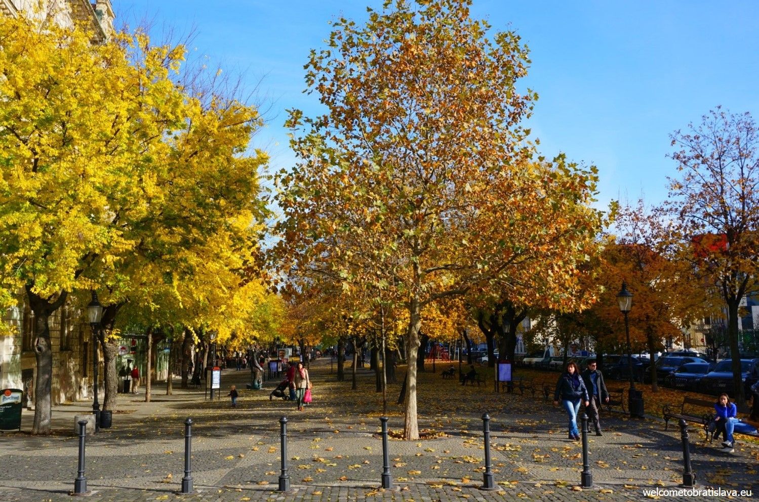 Hviezdoslav's square