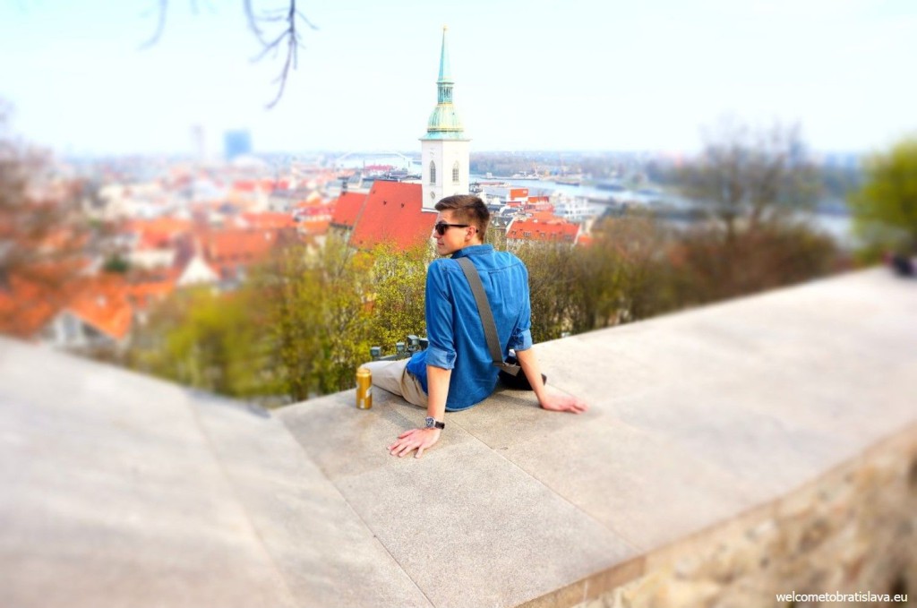 View from the castle walls