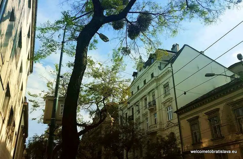 Stefanikova Street