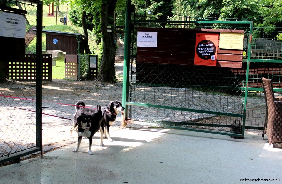 Horaren Horsky park