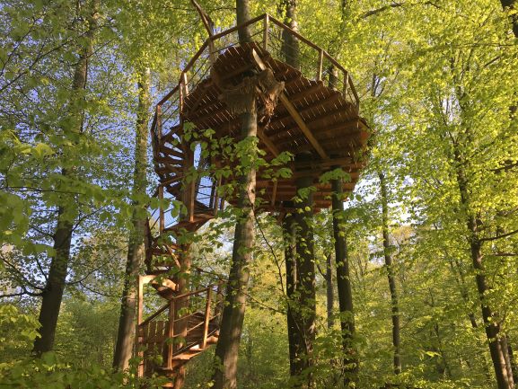 Tree House Unique Experience In Bratislava